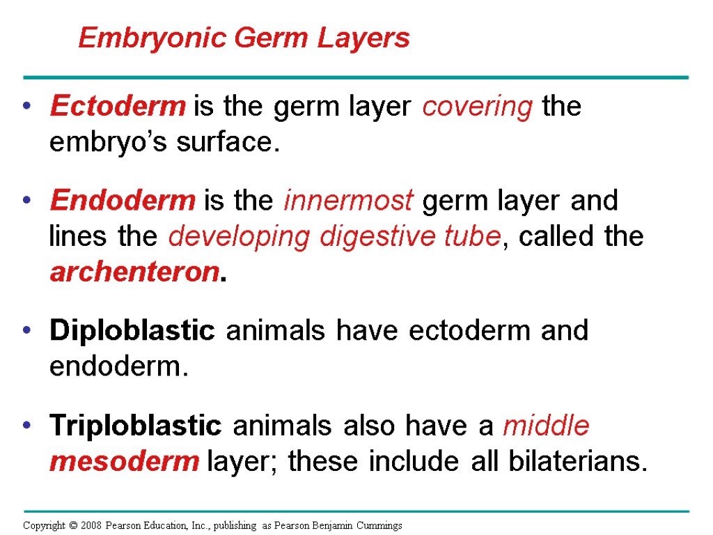 Ectoderm is the germ layer covering the embryo’s surface. Endoderm is the innermost germ